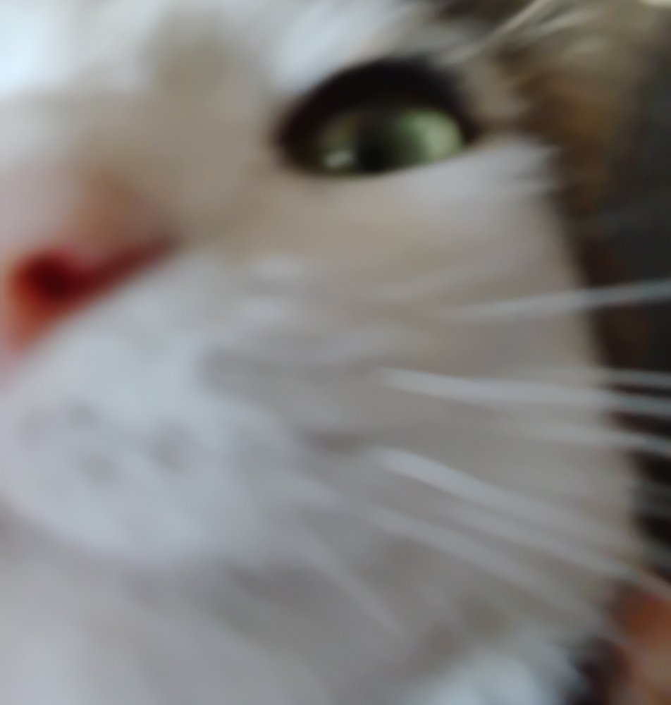 1000001015.jpg