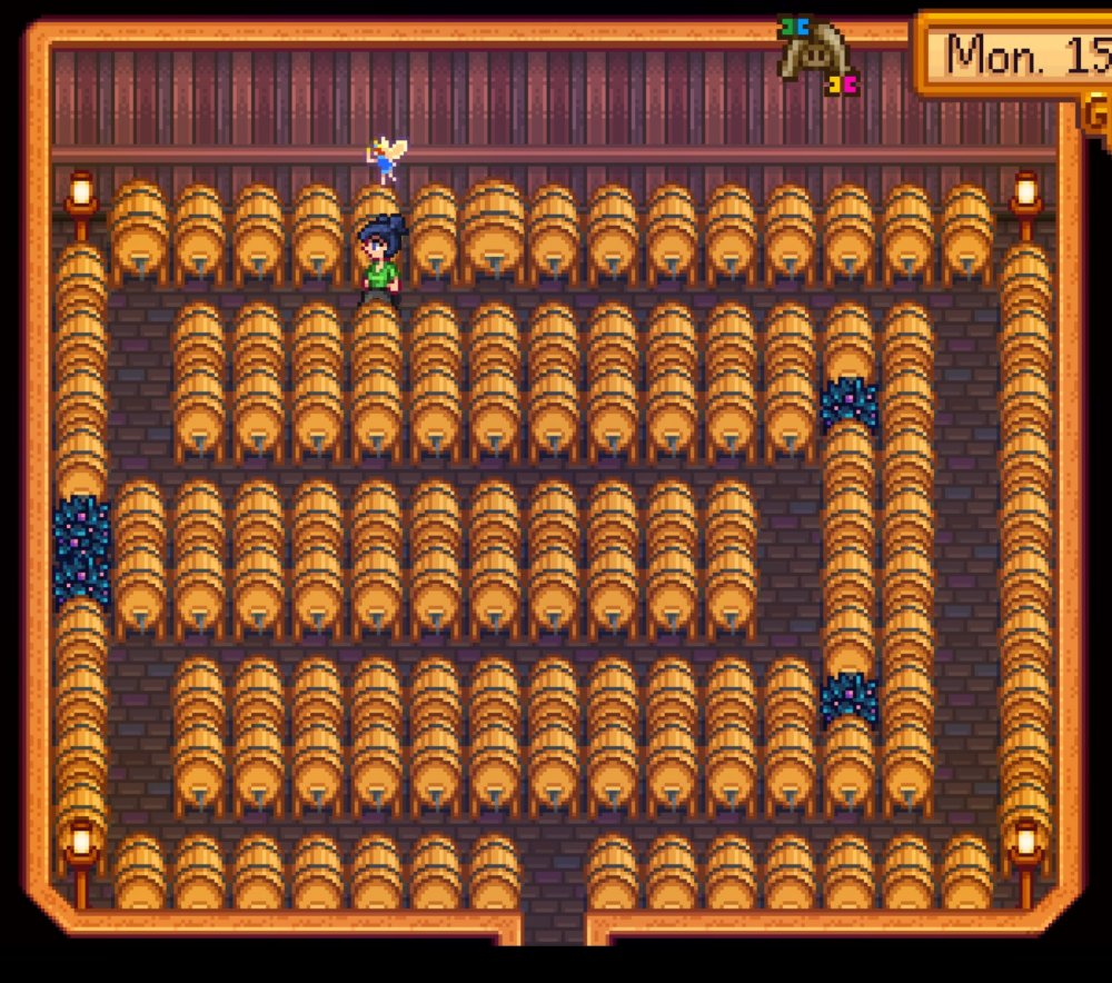 1000001022.jpg