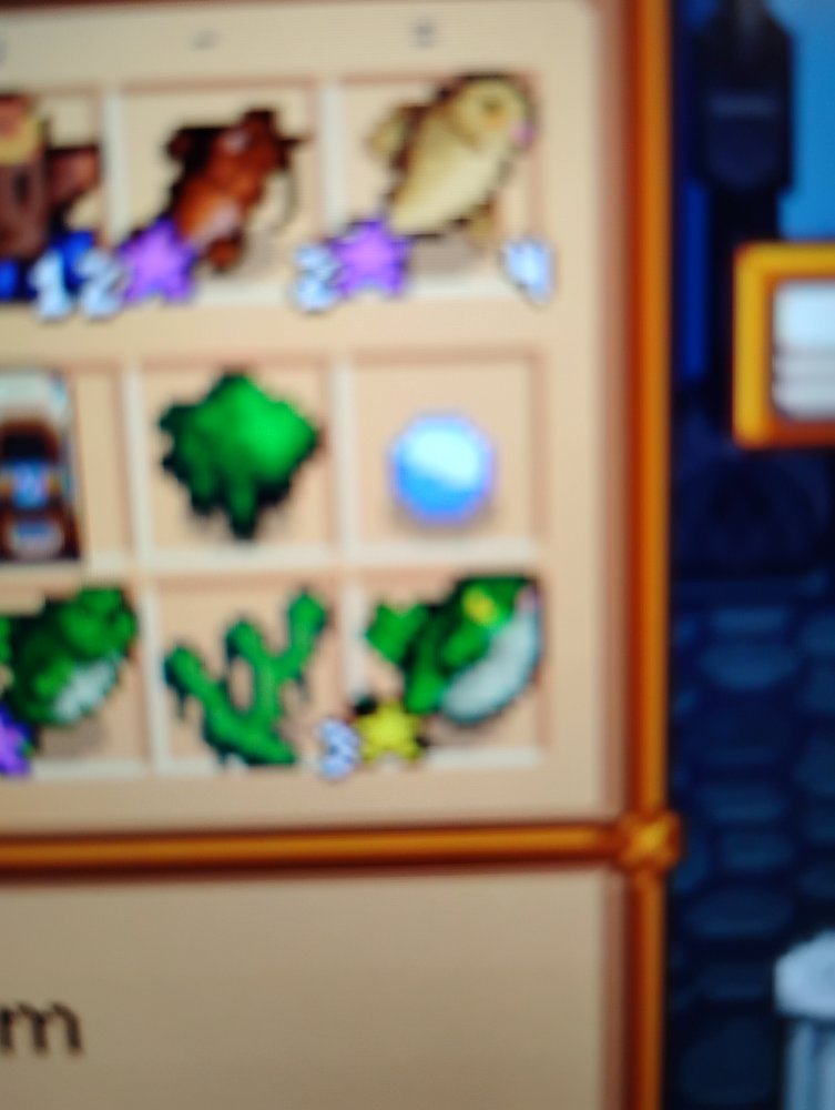 1000001713.jpg