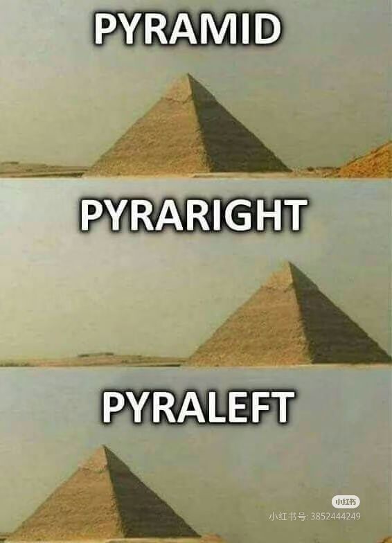 1000003913.jpg