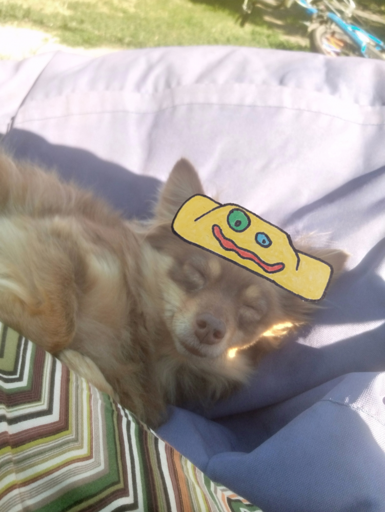 13665.png