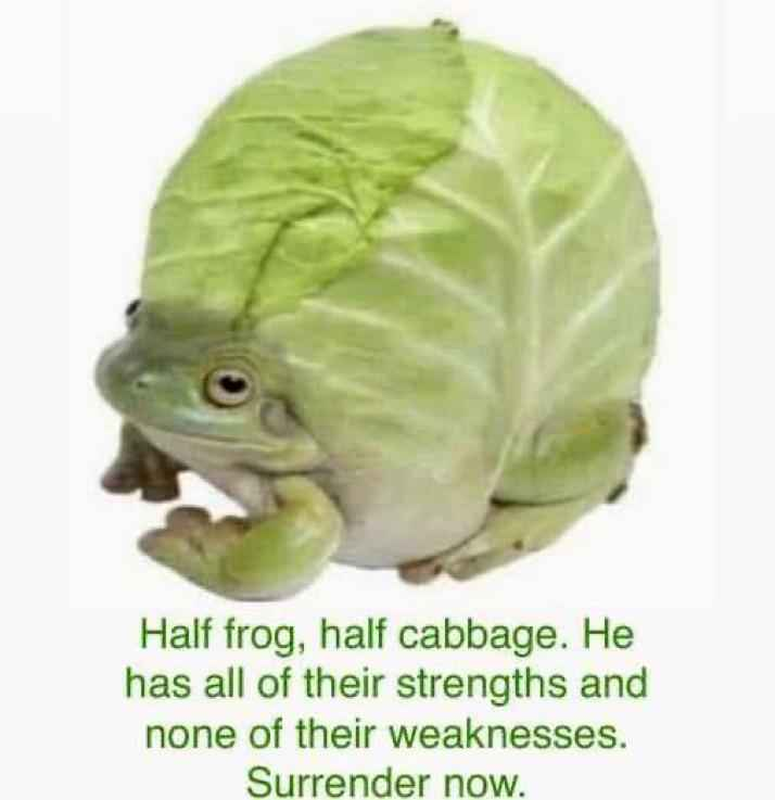 1751851216453.png