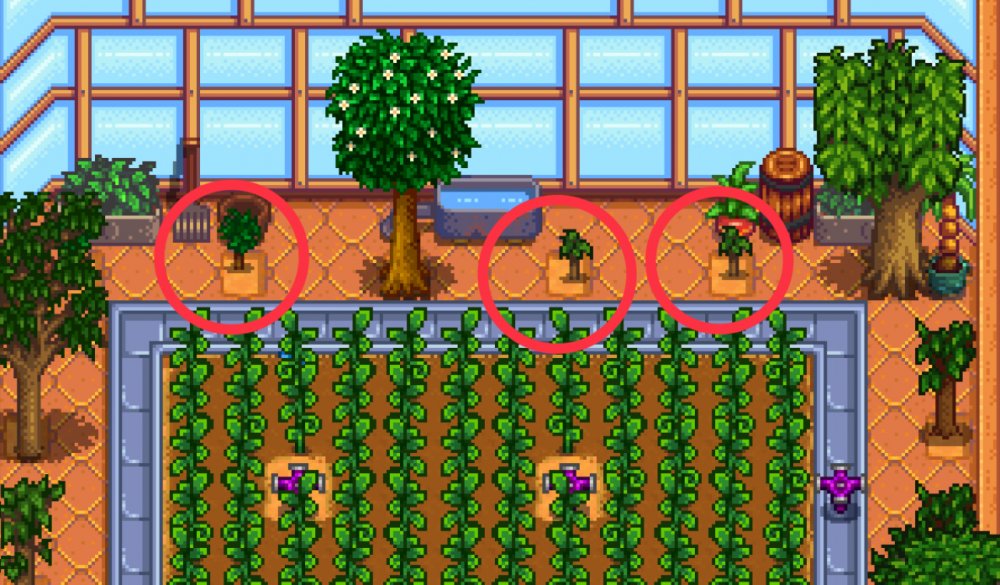 Stardew valley fruit trees paths