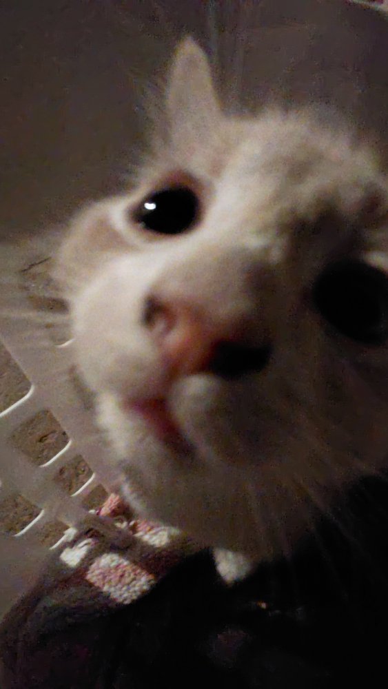 20250711_215324.jpg