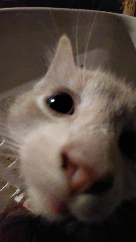 20250711_215327.jpg