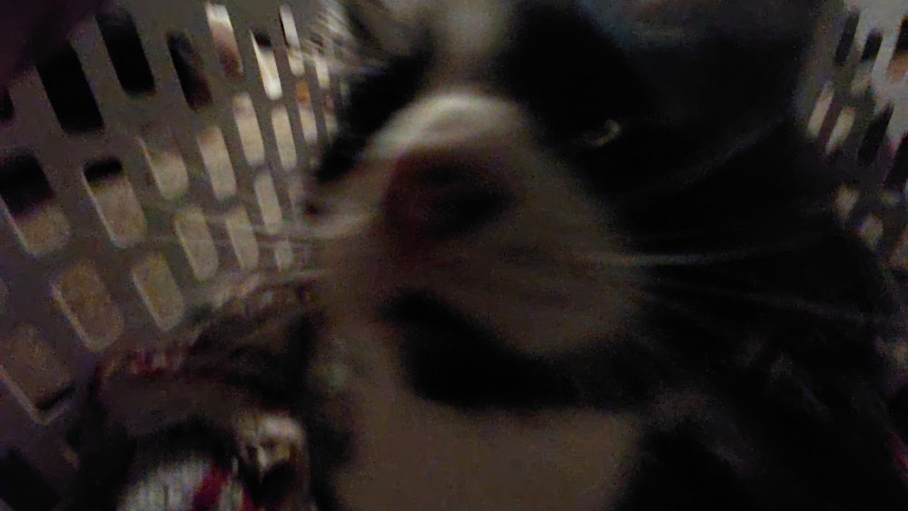 20250711_215402.jpg