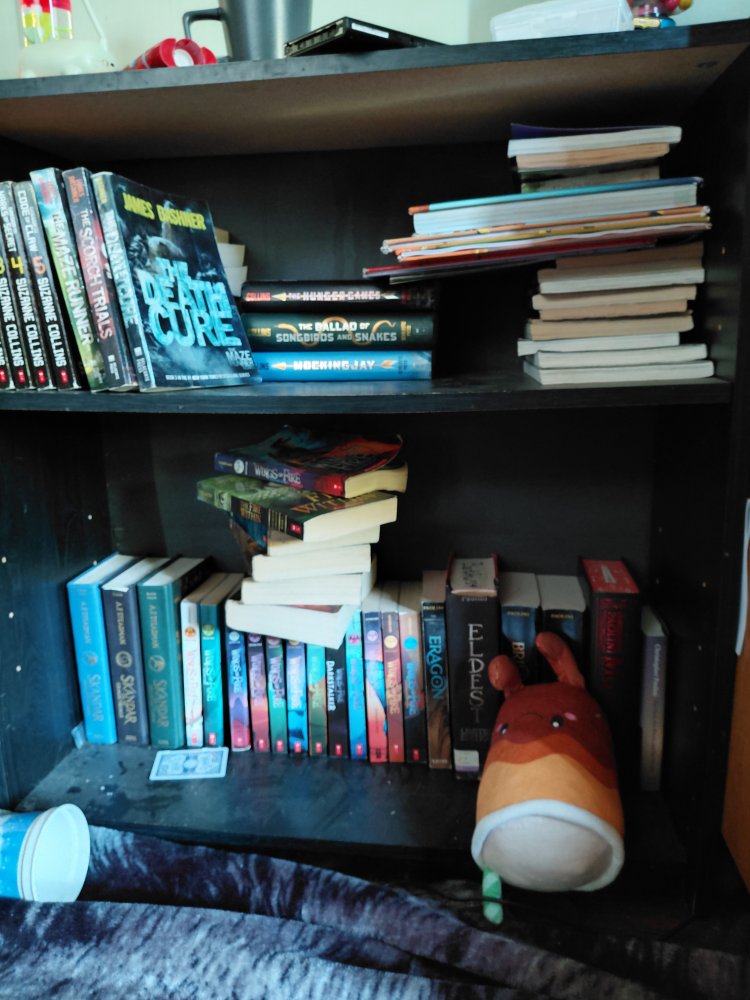 20250801_111933.jpg