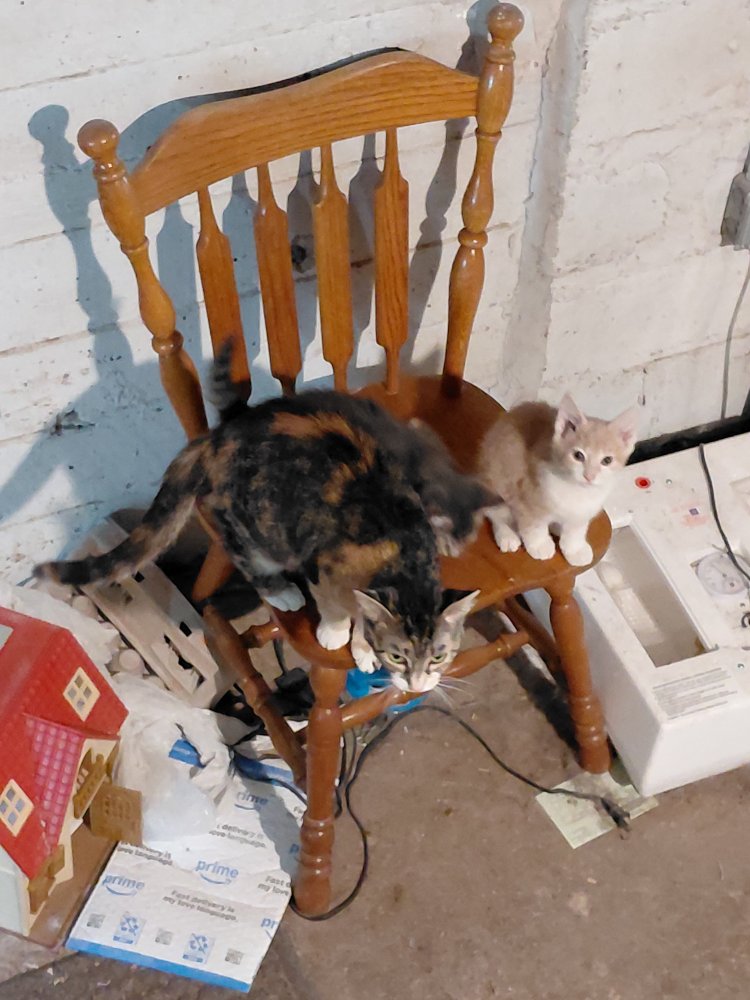 20250801_130417.jpg