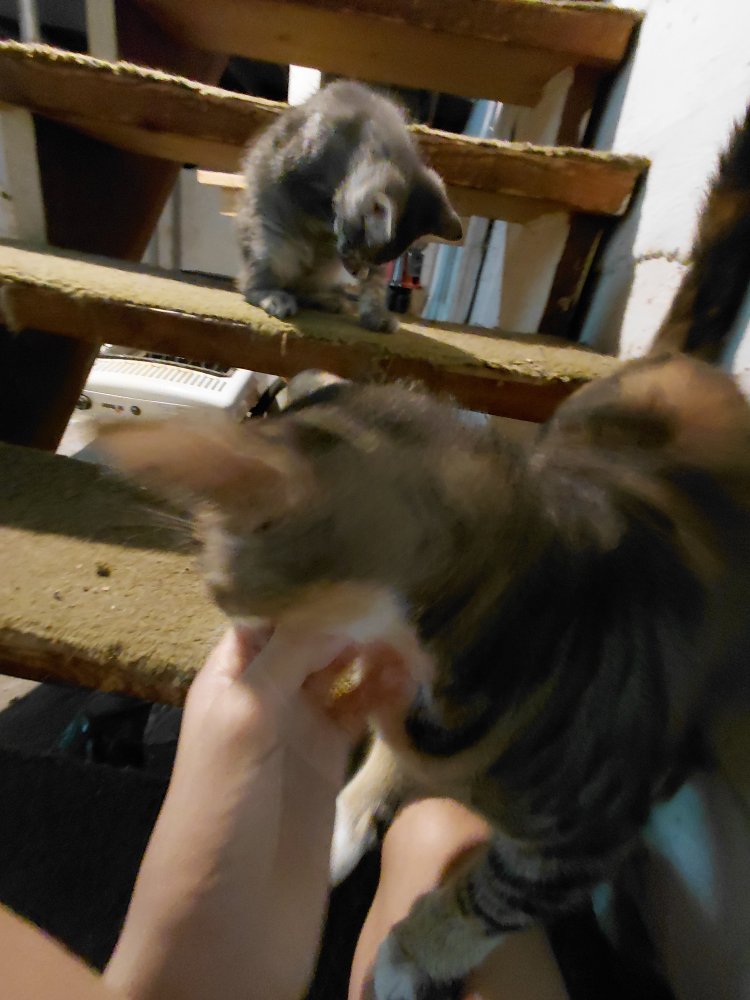 20250801_130651.jpg
