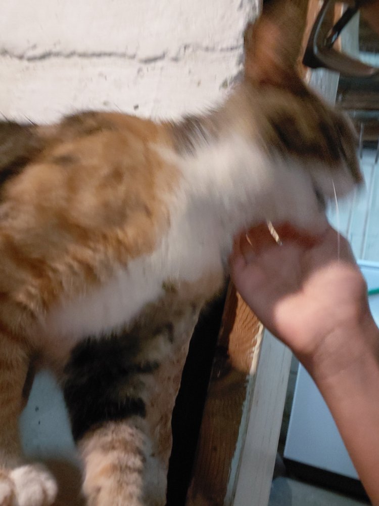 20250801_130734.jpg