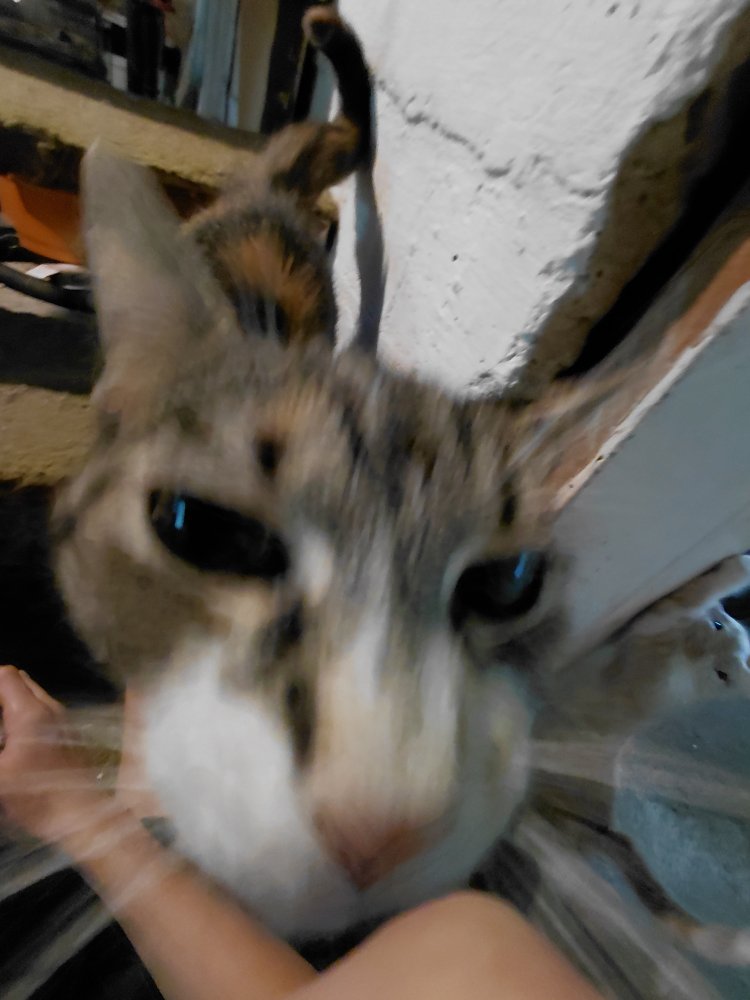 20250801_130835.jpg