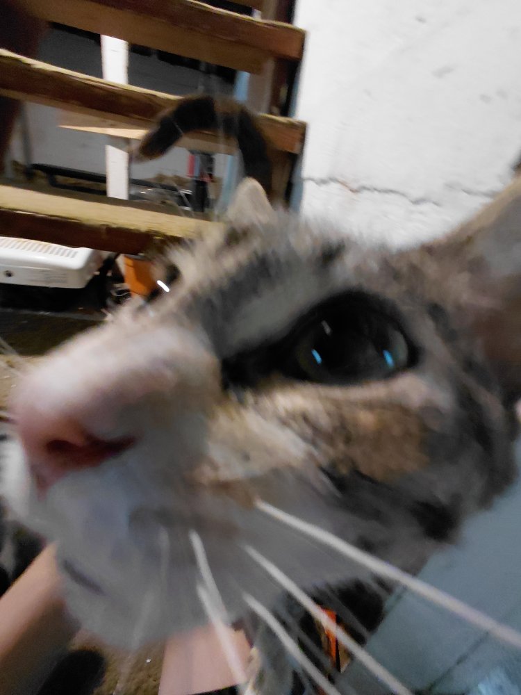 20250801_130843.jpg