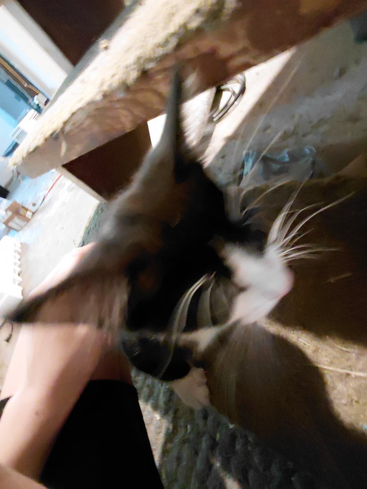 20250801_130850.jpg