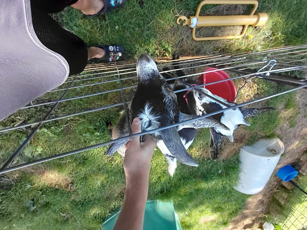 20250801_170615.jpg