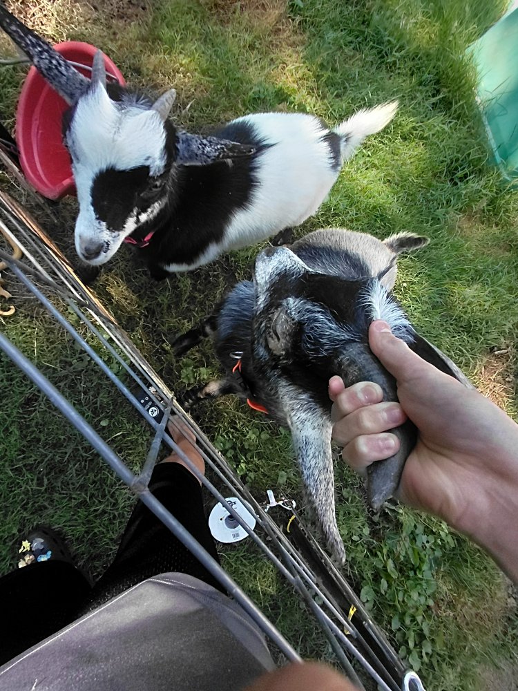 20250801_170623.jpg