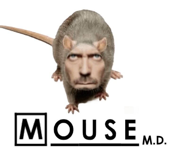 36812C63-7F63-4F9A-873E-3BCAC37B89A6.jpeg