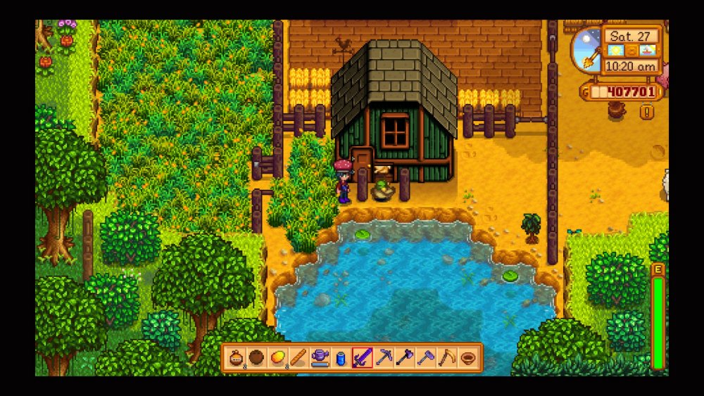 do you need to feed your dog in stardew valley