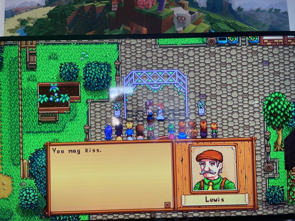 World Record Speedrun of 39m15s for Stardew Valley Wedding Glitch