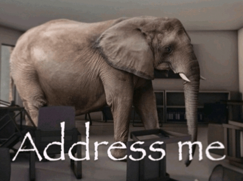 address-the-elephant-in-the-room-address-me (1).png