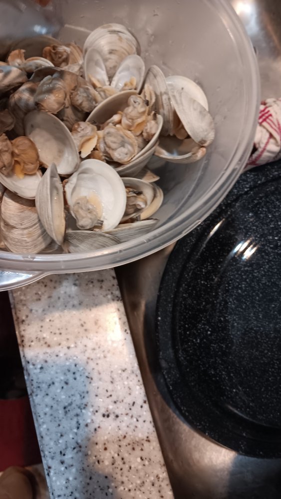 after boiling.jpg