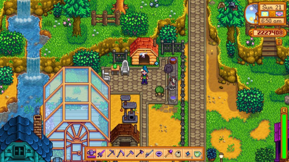 AnimalPark.jpeg