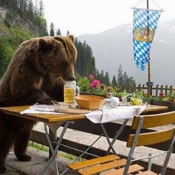 Beer-bear-350x350.jpg