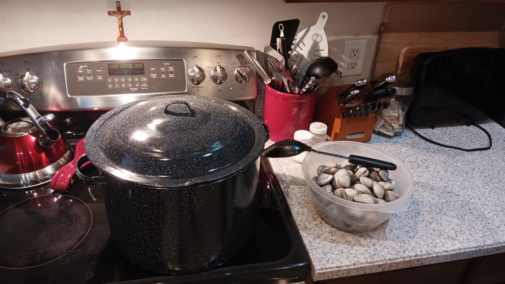 before boiling.jpg