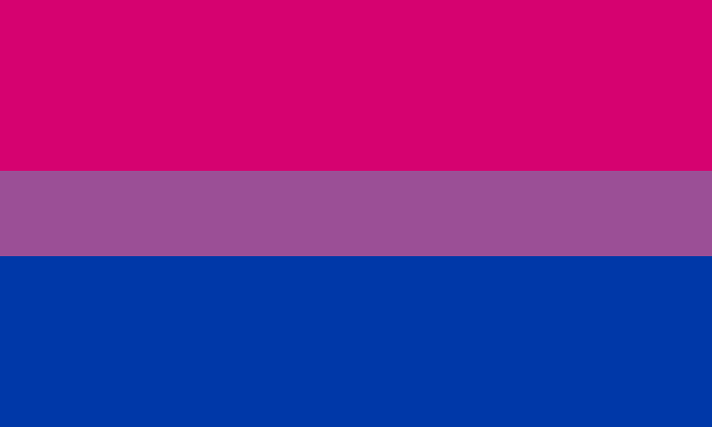 Bisexual_Pride_Flag.svg.png