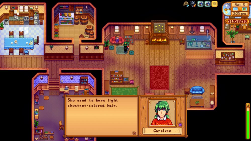 Carolina says Abby used to have light chestnut-colored hair.jpg