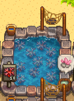 coral1.png