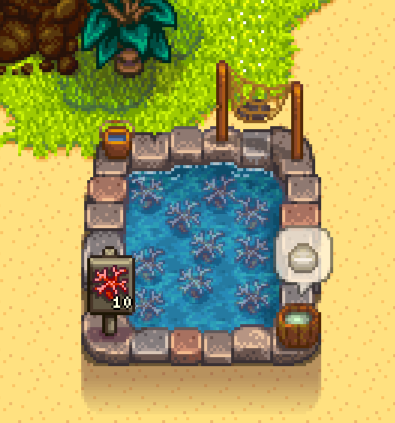 coral2.png