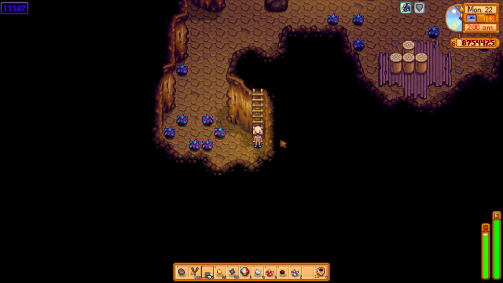 Skull Cavern - Stardew Valley Wiki