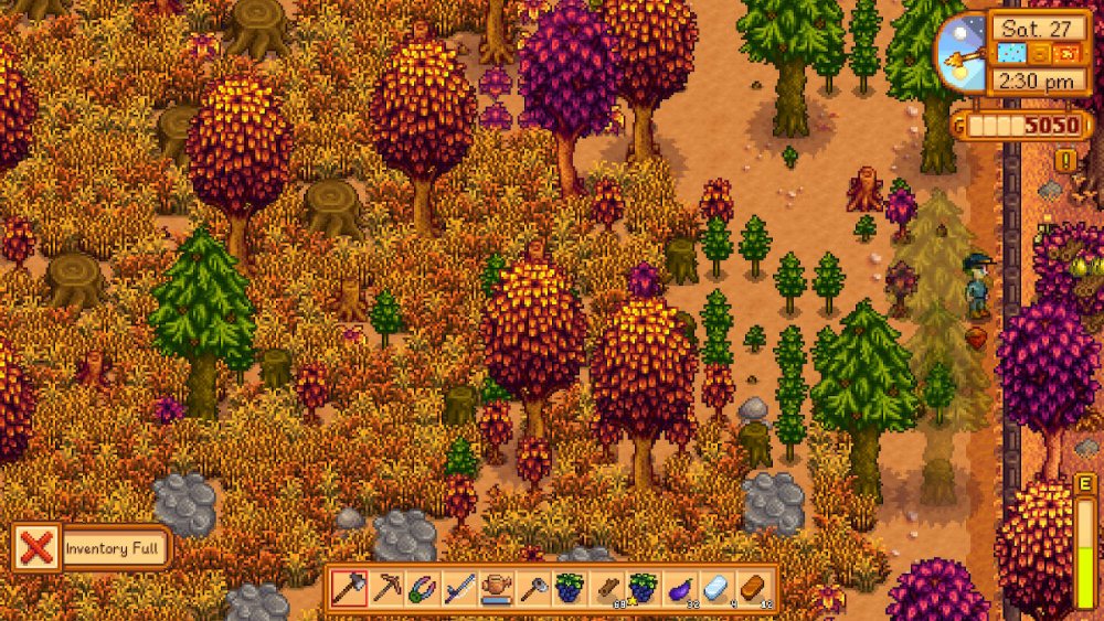 Fence.jpg