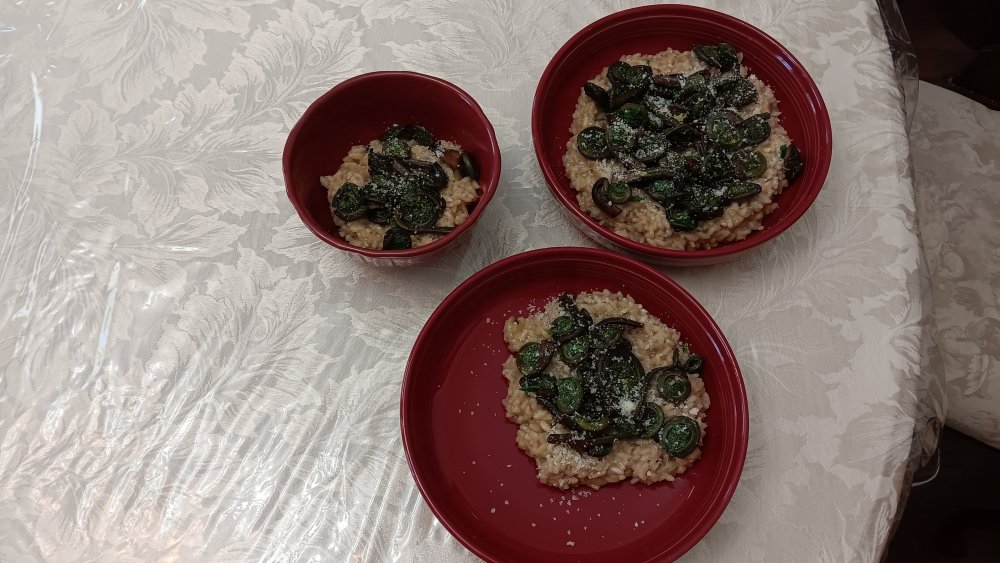 Fiddlehead Risotto.jpg