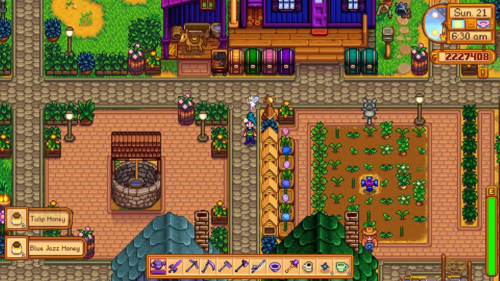 Garden.jpeg