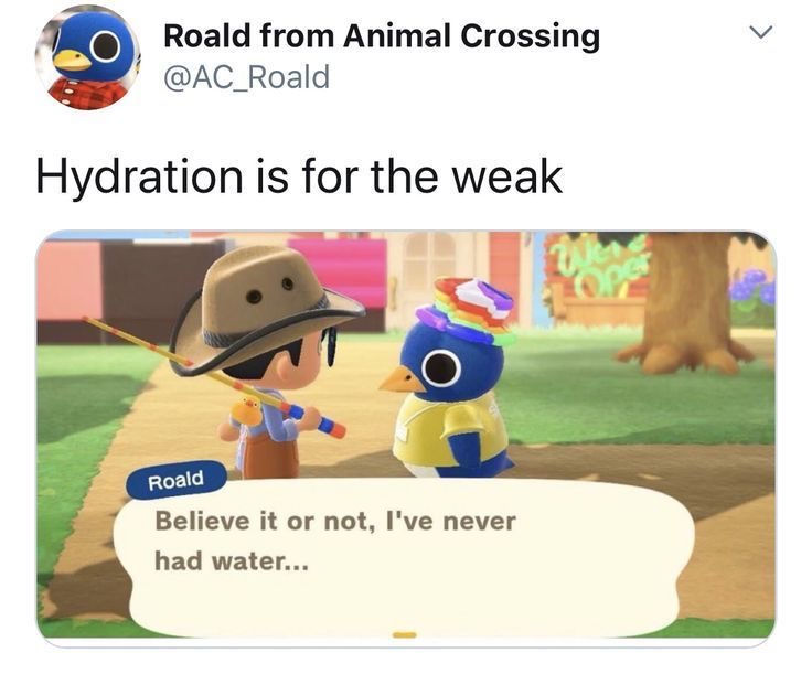 image1 - Copy (3).jpeg