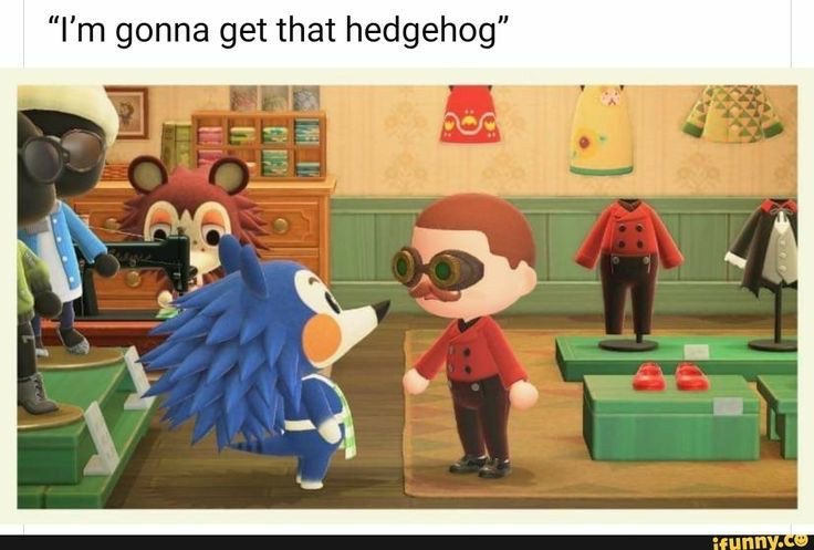 image15 - Copy (2).jpeg