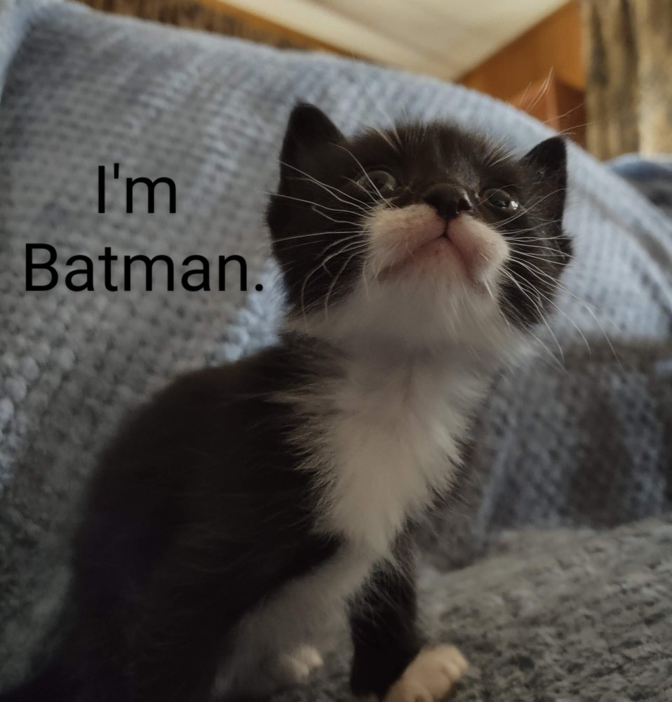 I'mBatman.jpg