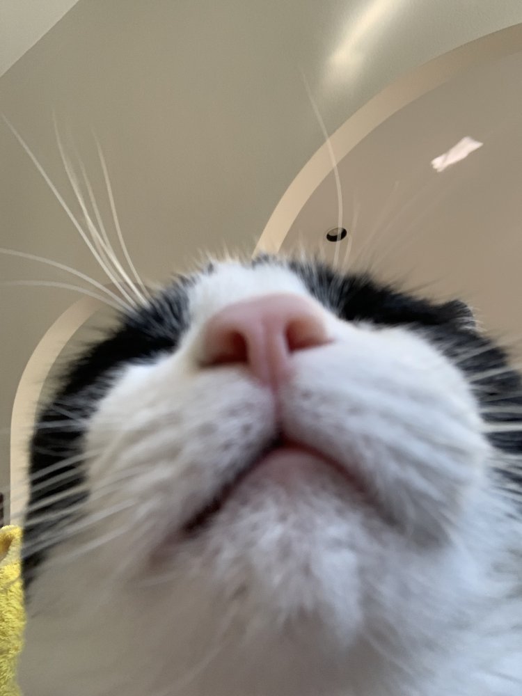 IMG_5350.jpeg