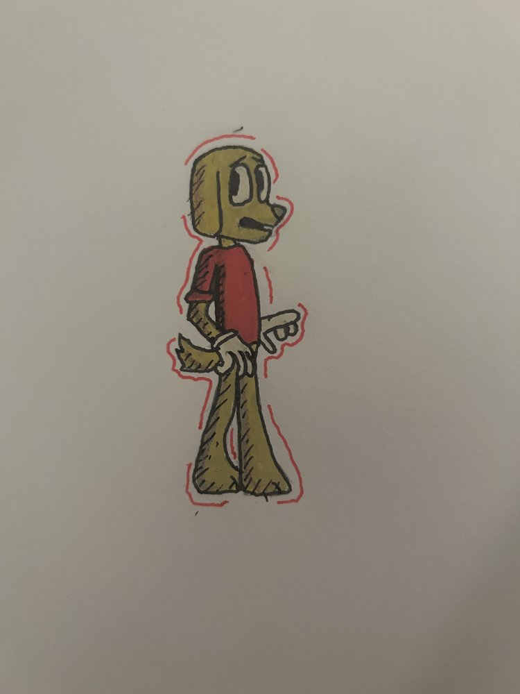 IMG_8031.jpeg