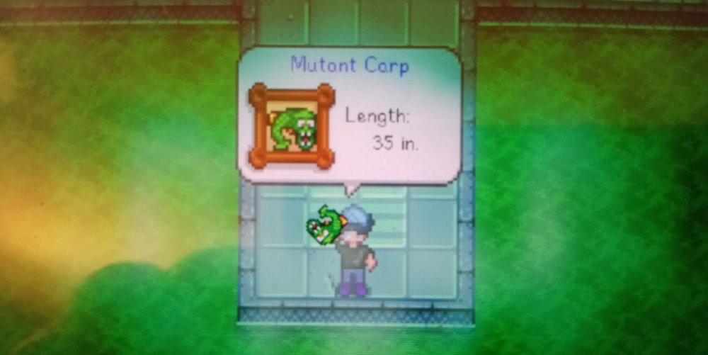 Mutant Carp.jpg