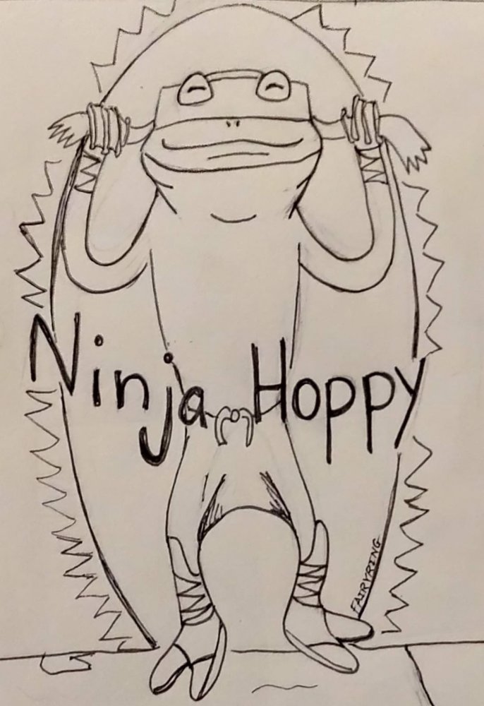 ninjahoppy.jpg