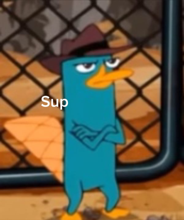 Perry.jpeg