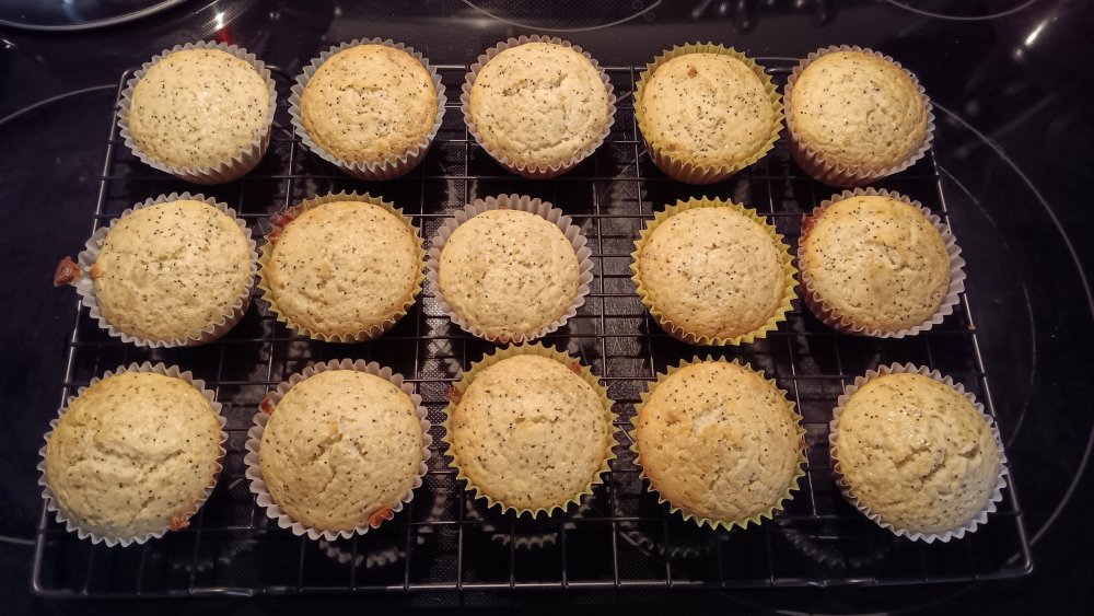Poppyseed muffins 12-25-2025.jpg