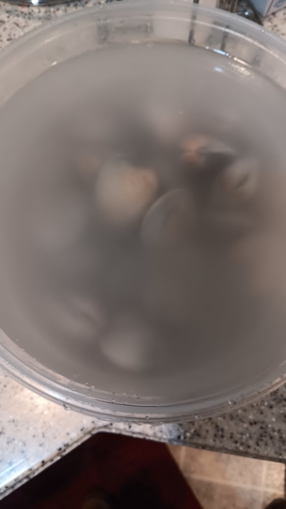 ready for flour soaking 2.jpg