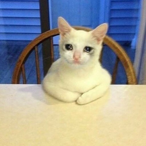 Sad-cats-for-your-sad-Saturday-Dank-Memes-Amino.jpg