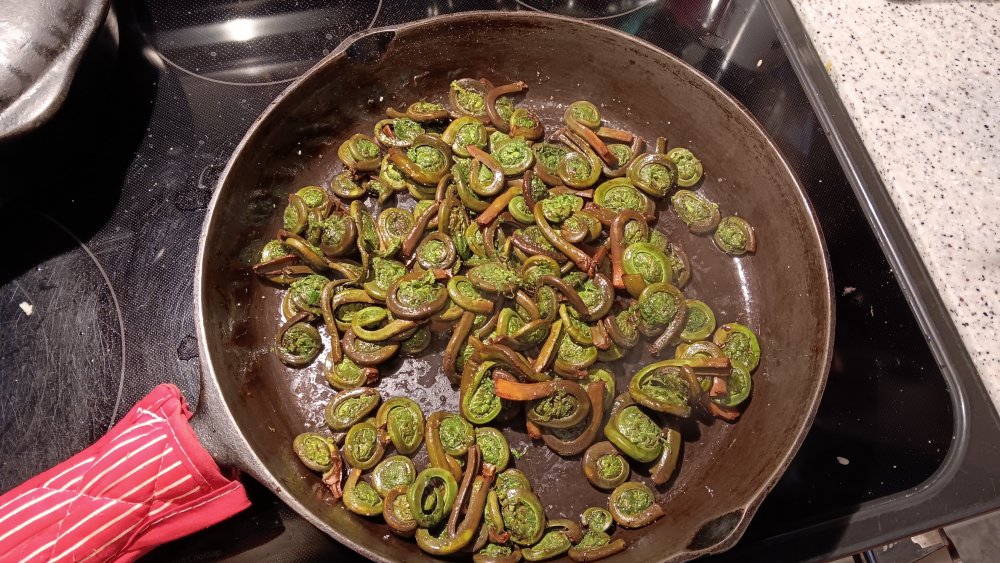 Sauteed Fiddlehead Ferns.jpg
