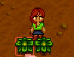 Screenshot 2025-09-19 104135.png