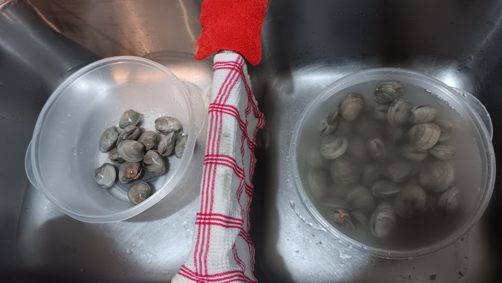 Scrubbing process 1.jpg