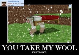 sheep.jpg